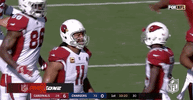 2018 Nfl Football GIF by NFL