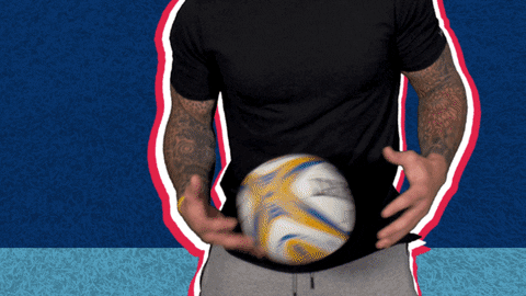 rugby union win GIF by Red Bull