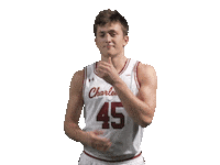 College Of Charleston Cougars Sticker by #TheCollege