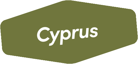 Cyprus Spies Sticker by Vingresor