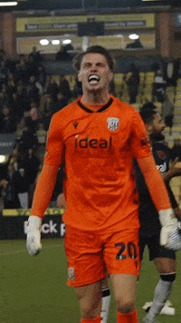 West Brom Wba GIF by West Bromwich Albion