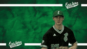 Emueagles Emubaseball GIF by EMU Athletics