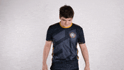 Esports Pose GIF by GamerLegion