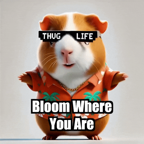 Wisdom Self-Love GIF by Guinea Gambino