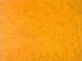 music video animation GIF by ProfessorLightWAV