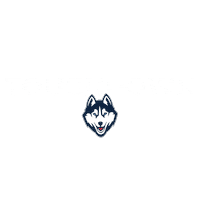 Football Touchdown Sticker by UConn Huskies