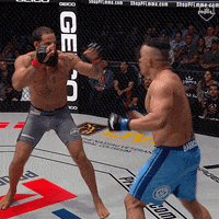 pflmma mma kick espn pfl GIF
