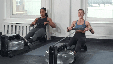 GIF by CITYROW