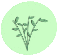 Pink Blooming Sticker