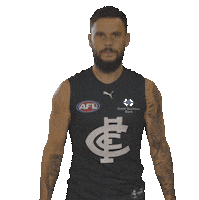 Happy Vintage Sticker by Carlton Football Club