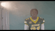 North Dakota State Bison GIF by NDSU Athletics
