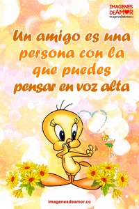 frases GIF
