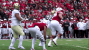 Jeffbrohm Boilerfootball GIF by Purdue Sports