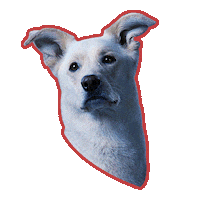 Dc Universe Titans Sticker by DC