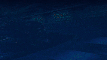 ragingbully rb stocks stonks options GIF