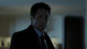 scully mulder GIF by The X-Files