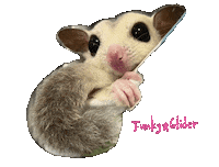 Chip Sticker