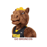 Horse Power Broncos Sticker by Olds College