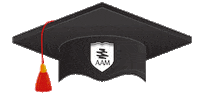 high school graduation Sticker by AAM