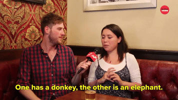 One Has A Donkey