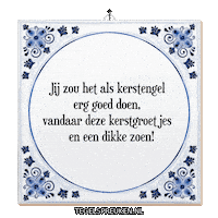 Nl Licht Sticker by Tegelspreuken.nl