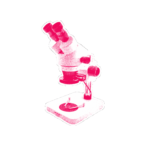 Politik Sticker by NEOS