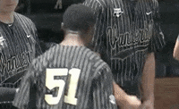 Super Regional Baseball GIF by NCAA Championships