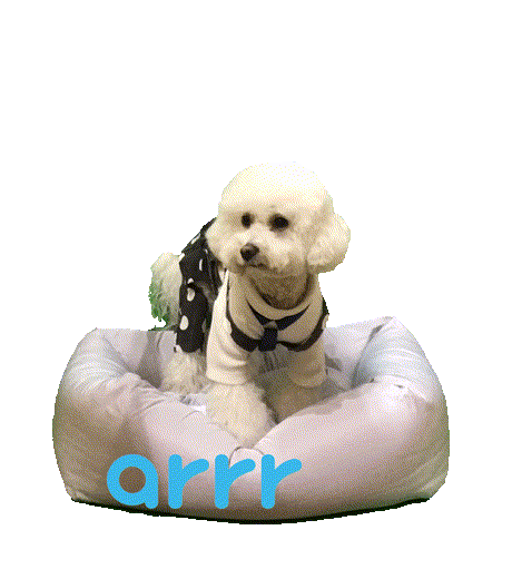 아르르 Sticker by arrr_official