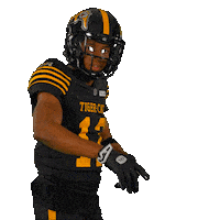 Tiger-Cats Football Sticker by Hamilton Sports Group