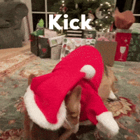 Kick GIF