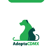AdoptaCDMX love cat dog gatos Sticker