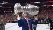 Stanley Cup Playoffs Win GIF by NHL