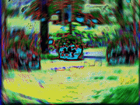 summer fall GIF by MFD