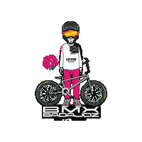 Sticker by AlmaRacing