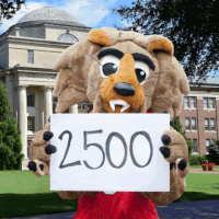 give davidson GIF by Davidson College