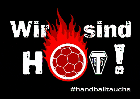 HandballTaucha giphygifmaker handball vereinsleben taucha GIF