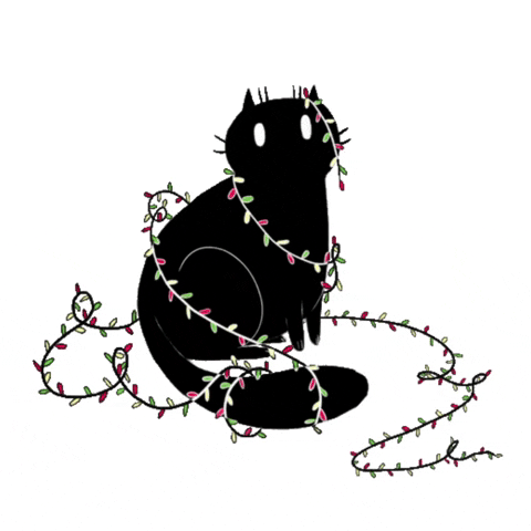 black cat GIF by BuzzFeed Animation