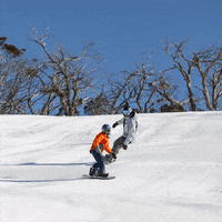 GIF by Thredbo