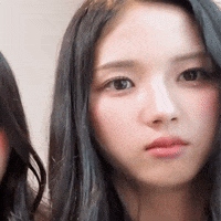 K Pop What GIF