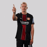 europa league no GIF by Bayer 04 Leverkusen