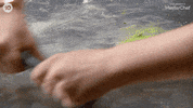 Cook GIF by MasterChefAU