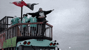 New York Football GIF by Dolfans NYC