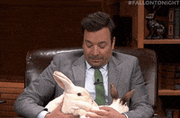 fallontonight reaction cute wow omg GIF