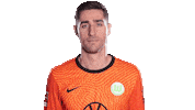 Koen Casteels Soccer Sticker by VfL Wolfsburg