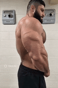 Gay Bear GIF by Database數據