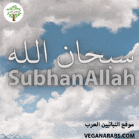 Allah GIF by VeganArabs