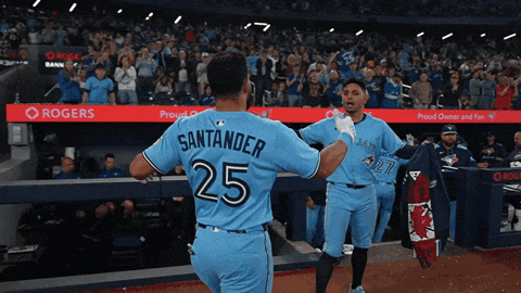 Blue Jays Baseball GIF by Toronto Blue Jays