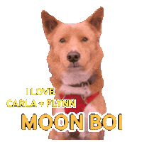 Moonspacedog Sticker by hamlet