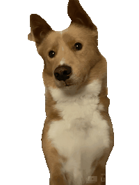 Moonspacedog Sticker by hamlet