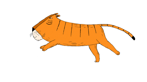 a smiling orange tiger running representing the 2d animation dimensions 